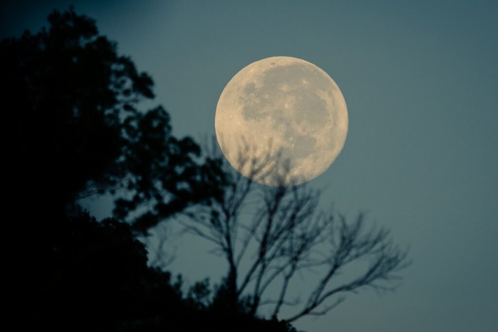 Next-Gen Sleep Apps: Rewiring Your Circadian Clock in 2026