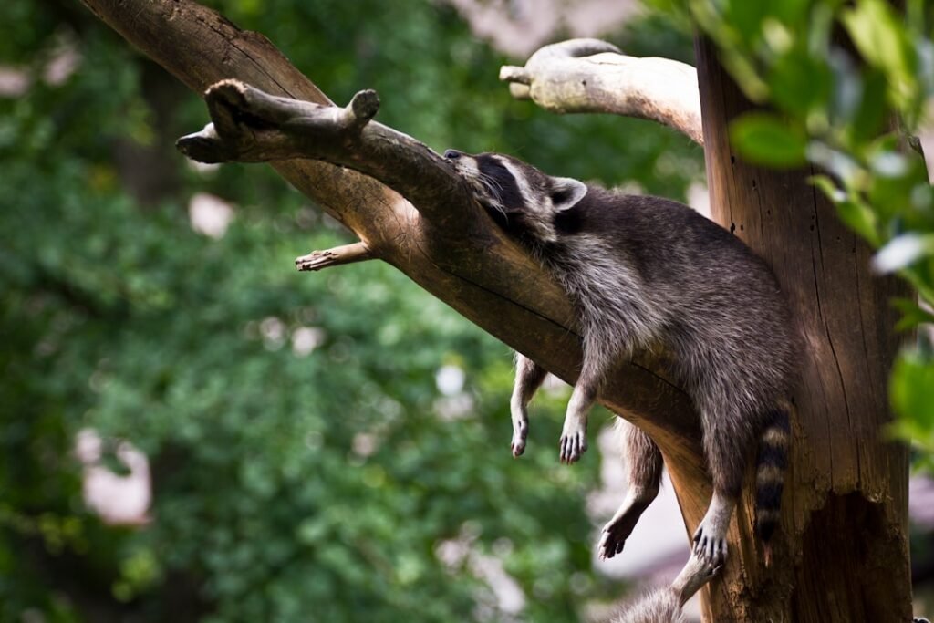 Biohacks to Reprogram Your Circadian Code: Achieve Peak Performance