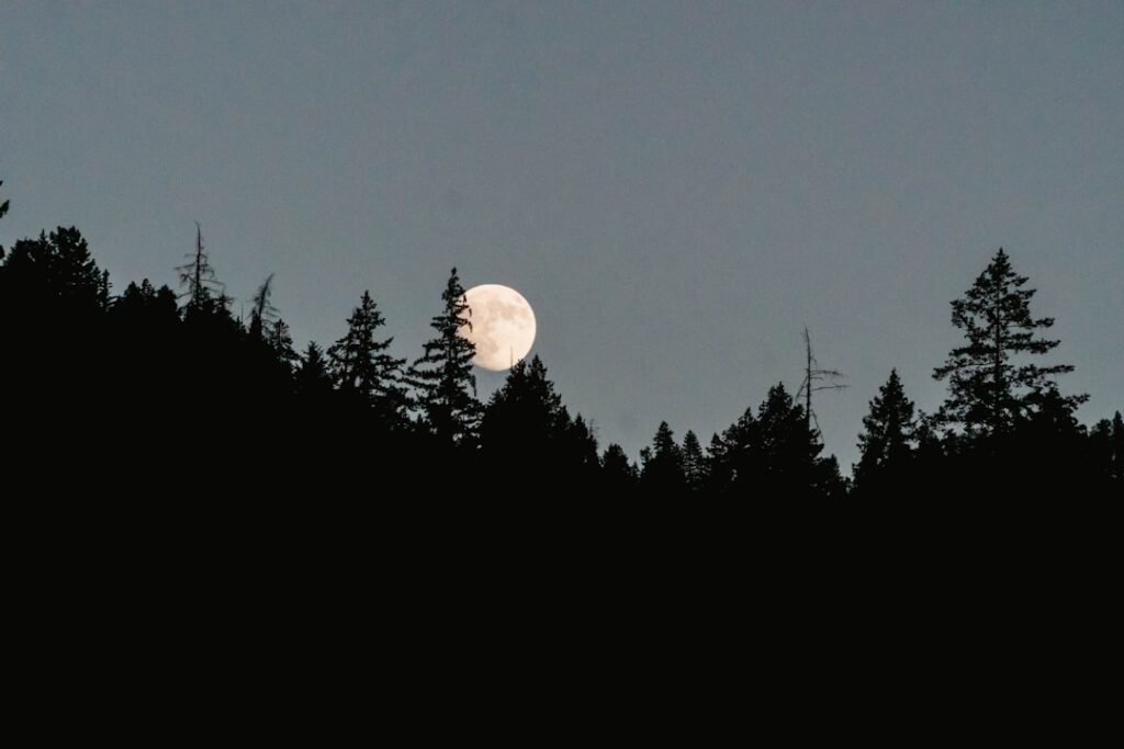 Cracking the Code of Chronic Insomnia: The Inverted Cortisol Conundrum